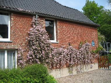 Ferienwohnung in Havinnes (Tournai) (Wallonien) oder Ferienwohnung oder Ferienhaus