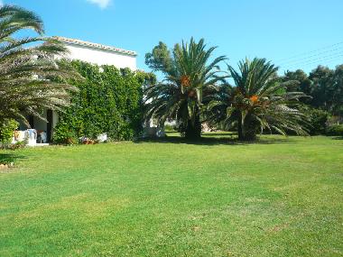 Ferienwohnung in Aghios Georgios Argirades (Kerkyra) oder Ferienwohnung oder Ferienhaus