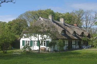 Rosengarten Blick vom Garten