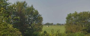 Blick nach Hiddensee