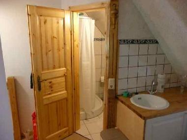 Badezimmer Strauchrose