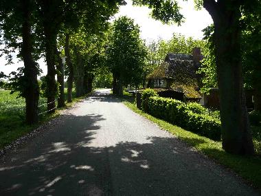 Rosengarten von der Allee aus