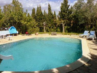 Der grosse Pool