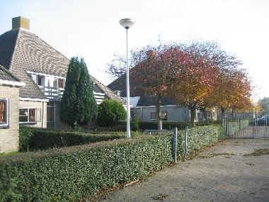 Ferienhaus in Offingawier/Sneek (Friesland) oder Ferienwohnung oder Ferienhaus