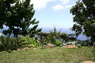 Chalet in Arco da Calheta (Madeira) oder Ferienwohnung oder Ferienhaus