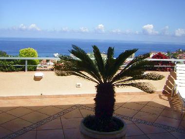 Ferienwohnung in Puerto de la Cruz (Teneriffa) oder Ferienwohnung oder Ferienhaus
