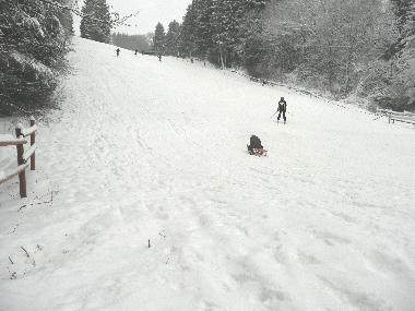 Villa in Weinsheim-Gondelsheim (Eifel - Ahr) oder Ferienwohnung oder Ferienhaus