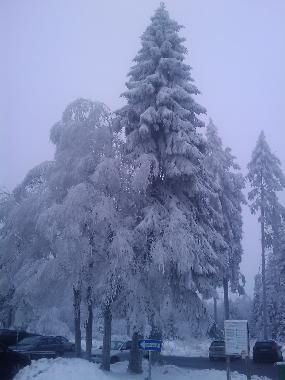 Villa in Weinsheim-Gondelsheim (Eifel - Ahr) oder Ferienwohnung oder Ferienhaus