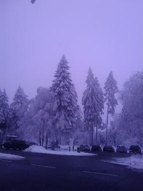 Villa in Weinsheim-Gondelsheim (Eifel - Ahr) oder Ferienwohnung oder Ferienhaus