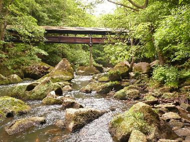 Villa in Weinsheim-Gondelsheim (Eifel - Ahr) oder Ferienwohnung oder Ferienhaus