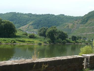 Villa in Weinsheim-Gondelsheim (Eifel - Ahr) oder Ferienwohnung oder Ferienhaus