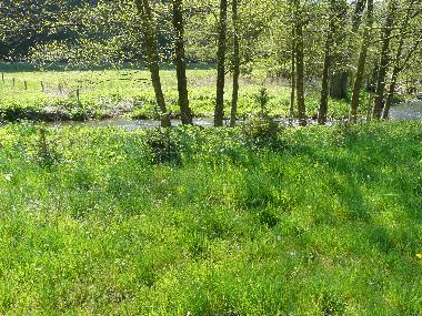 Villa in Weinsheim-Gondelsheim (Eifel - Ahr) oder Ferienwohnung oder Ferienhaus