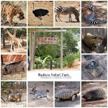 Badoca Safari Park
