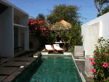 Garten und Schwimmbad