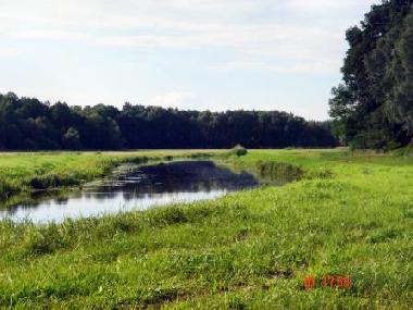 Ferienwohnung in Ueckerm�nde (Mecklenburgische Ostseek�ste) oder Ferienwohnung oder Ferienhaus