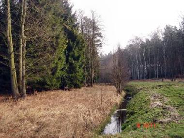 Ferienwohnung in Ueckerm�nde (Mecklenburgische Ostseek�ste) oder Ferienwohnung oder Ferienhaus