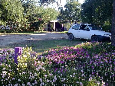 Ferienhaus in +++ (Rocha) oder Ferienwohnung oder Ferienhaus