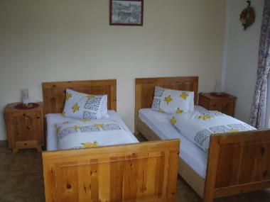 Ferienhaus in F�gen (Tiroler Unterland) oder Ferienwohnung oder Ferienhaus