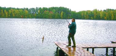 Ferienhaus in Lipusz (Pomorskie) oder Ferienwohnung oder Ferienhaus