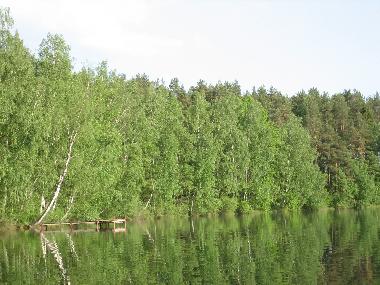 Ferienhaus in Lipusz (Pomorskie) oder Ferienwohnung oder Ferienhaus