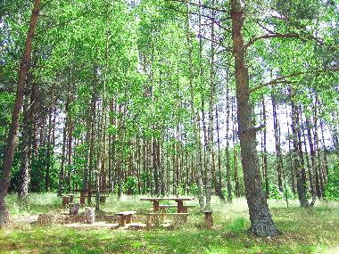 Ferienhaus in Lipusz (Pomorskie) oder Ferienwohnung oder Ferienhaus