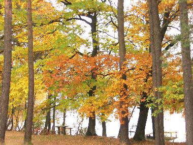Ferienhaus in Lipusz (Pomorskie) oder Ferienwohnung oder Ferienhaus