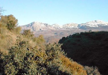 Ferienhaus in Casabermeja (Mlaga) oder Ferienwohnung oder Ferienhaus