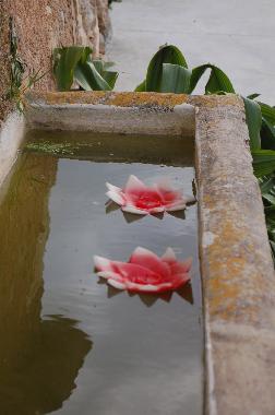 Ferienwohnung in Cas Concos -Felanitx- (Mallorca) oder Ferienwohnung oder Ferienhaus