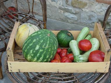 Ferienhaus in Anghiari (Arezzo) oder Ferienwohnung oder Ferienhaus