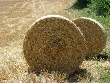 Ferienhaus in Anghiari (Arezzo) oder Ferienwohnung oder Ferienhaus