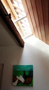 Ferienhaus in Niawier/Dokkum (Friesland) oder Ferienwohnung oder Ferienhaus