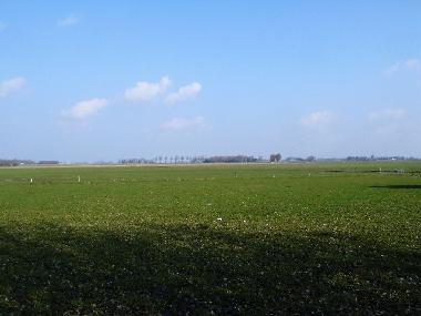 Ferienhaus in Niawier/Dokkum (Friesland) oder Ferienwohnung oder Ferienhaus