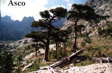 nahe Bergwelt des Monte Cinto
