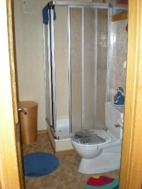 Chalet in Albinen (Leukerbad) oder Ferienwohnung oder Ferienhaus