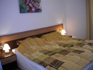 Ferienwohnung in Bansko (Blagoevgrad) oder Ferienwohnung oder Ferienhaus