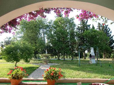 Garten mit Swimmingpool
