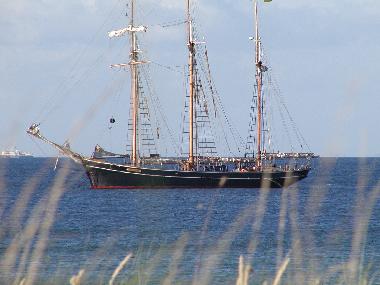 Ferienwohnung in Kappeln (Ostsee-Festland) oder Ferienwohnung oder Ferienhaus