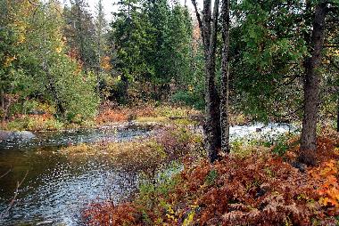 Chalet in Morin-Heights (Quebec) oder Ferienwohnung oder Ferienhaus