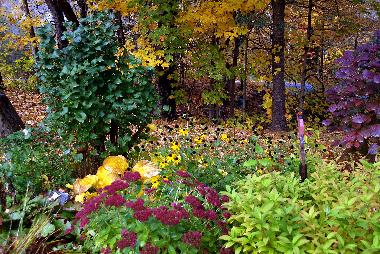 Chalet in Morin-Heights (Quebec) oder Ferienwohnung oder Ferienhaus