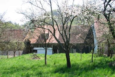 Der gro�e Obstgarten