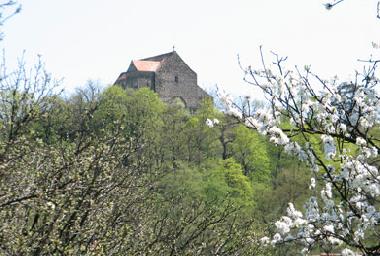 Blick zur Michelsberger Burg