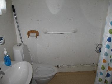 Villa in holmsjo (Blekinge) oder Ferienwohnung oder Ferienhaus