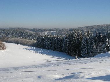 Blick aus dem Garten