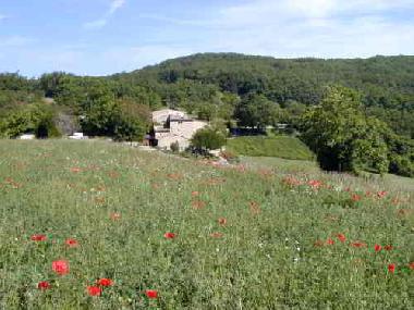 Ferienhaus in Grane (Dr�me) oder Ferienwohnung oder Ferienhaus