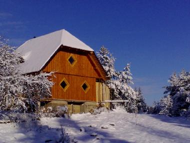 Ferienhaus in Kurtuvenai (Siauliu Apskritis) oder Ferienwohnung oder Ferienhaus