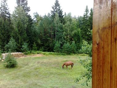 Ferienhaus in Kurtuvenai (Siauliu Apskritis) oder Ferienwohnung oder Ferienhaus
