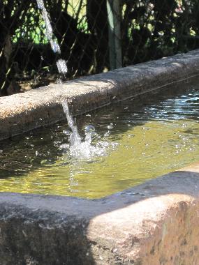 Quelle vor dem Haus
