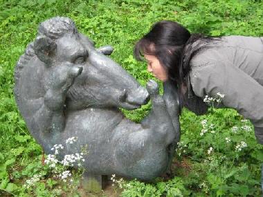 Schloss / Burg in Rerik/ Hohen Niendorf (Mecklenburgische Ostseek�ste) oder Ferienwohnung oder Ferienhaus