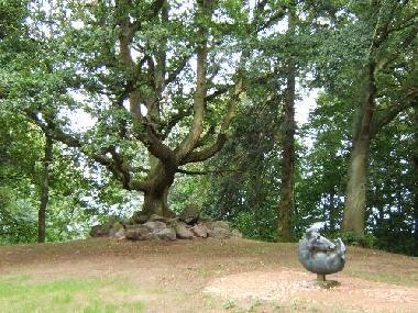 Schloss / Burg in Rerik/ Hohen Niendorf (Mecklenburgische Ostseek�ste) oder Ferienwohnung oder Ferienhaus