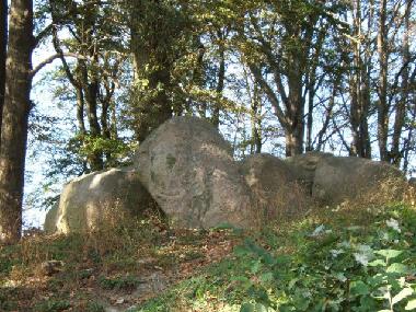 Schloss / Burg in Rerik/ Hohen Niendorf (Mecklenburgische Ostseek�ste) oder Ferienwohnung oder Ferienhaus
